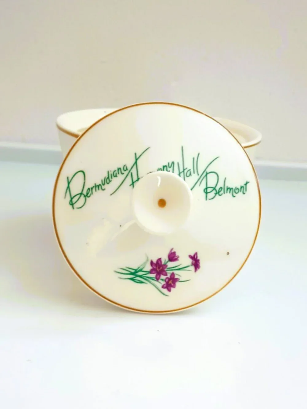 Vtg Creamer & Sugar Bowl Bermudiana Harmony Hall of Belmont Wedgewood England